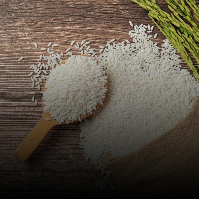 بهترین برنج گیلان چیست؟